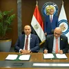وزير البترول 