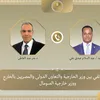 وزيرا خارجية مصر والصومال 