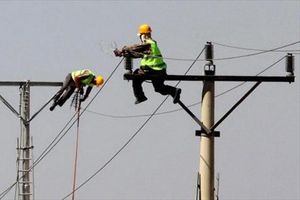 وظائف وزارة الكهرباء 2024