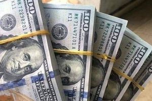 سعر الدولار اليوم مقابل الجنيه