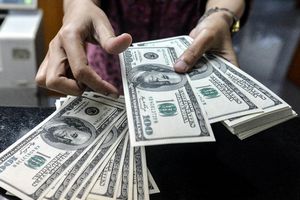 سعر الدولار اليوم مقابل الجنيه