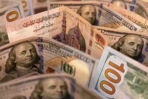 سعر الدولار اليوم