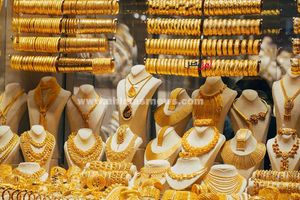 سعر الذهب 