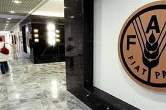 منظمة الغذاء العالمية