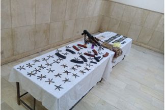 المضبوطات 