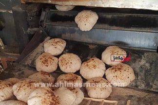 جانب من حملات مباحث تموين الإسماعيلية 
