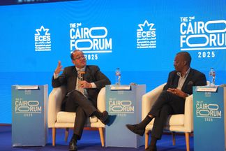 وزير المالية