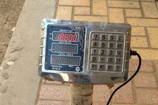 كميات السكر المضبوطة