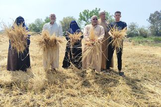 أصحاب الأرض 