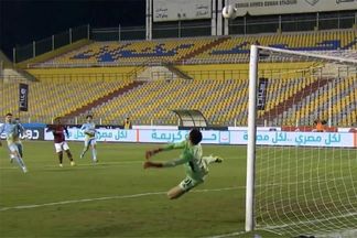 مصطفى شوبير