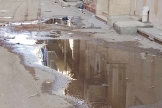 جانب من الطفح 
