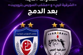 شعارات الأندية بعد الدمج 