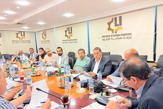 مجلس إدارة غرفة صناعة الجلود باتحاد الصناعات المصرية