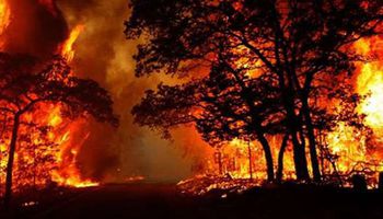 حريق غابات ضخم في كاليفورنيا