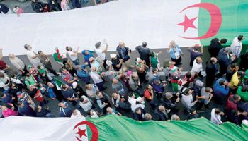 انتخابات الجزائر