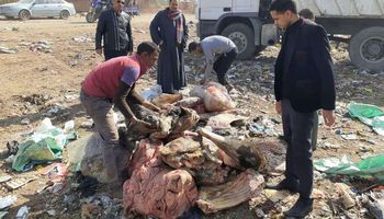 إعدام 717 كيلو جرام لحوم غير صالحة بسوهاج