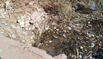 الحشائش والمخلفات تهدد زراعات قرية الحريزات في سوهاج