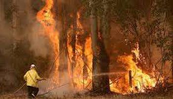 اندلاع 6 حرائق في سيدني بسبب حالة الطقس