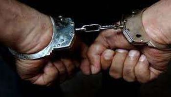 القبض على صاحب ثلاجة بحوزته 12 طن هياكل دواجن فاسدة فى المرج