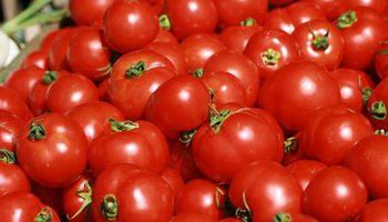 أسعار الطماطم في الأسواق