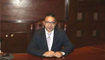 محمد عبد الهادي، الخبير المالي