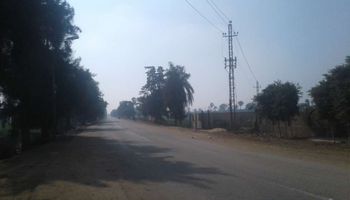 أحوال الطقس ببني سويف 