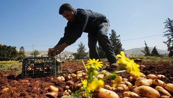المزارع الفلسطينية في جنين (RT)