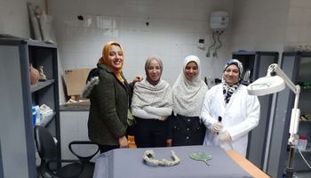 تدريبات عملية وعلمية لطلاب آثار الفيوم في الإسكندرية