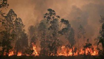  حرائق الغابات  باستراليا