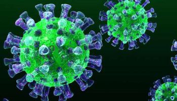  عدد حالات الإصابة بفيروس كورونا  