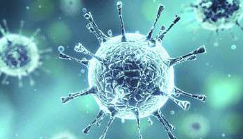 كوريا الجنوبية تعلن عن أول إصابة بالفيروس الغامض