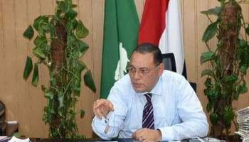 محافظ الشرقية 