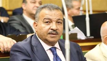محمدى العماري رئيس لجنة الشئون الصحية بالبرلمان