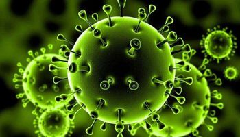 ارتفاع عدد الاصابات بفيروس كورونا في الصين إلى اكثر من 37 ألف شخص