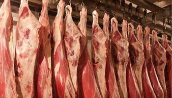 اسعار اللحوم اليوم الاثنين 
