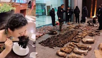 الصين تحظر تجارة الحيوانات البرية وتناولها بسبب فيروس كورونا