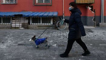 سيدة تسير مع كلبها بأحد شوارع بكين مرتديا كمامة تحسبا من إصابته بـ كورونا، الصين، 4 فبراير 2020 (AFP )