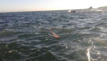 غرق شاب في مياه البحر بميناء الإسكندرية