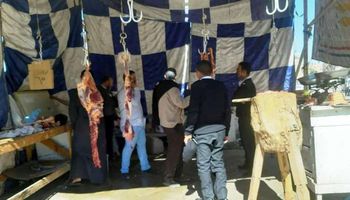 غلق شوادر اللحوم باسوان