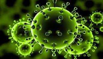 تسجيل 29 إصابة جديدة بفيروس كورونا