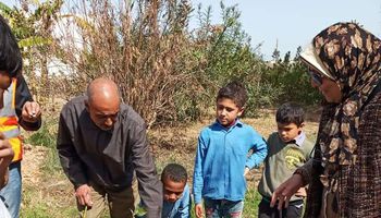 استكمال مبادرة زراعة مليون شجرة مثمرة بالإسكندرية
