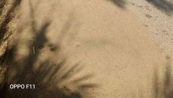 سيارات الإسعاف ببني سويف 