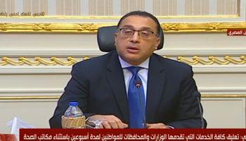  الحكومة المصرية 