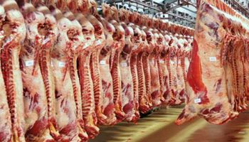 اللحوم بالمجمعات الاستهلاكية والمنافذ التموينية