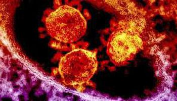 تأثير درجات الحرارة المرتفعة على فيروس كورونا