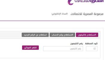 فاتورة التليفون الأرضي على موقع المصرية للاتصالات
