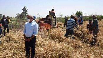 محافظ بورسعيد يتابع عملية توريد القمح فى مطاحن المحافظة