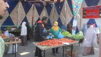 وزارة التنمية المحلية: إلغاء تراخيص إقامة شوادر بالمحافظات بسبب كورونا