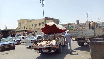 الأحياء تستكمل حملات إزالة الإشغالات والمخالفات البيئية ببورسعيد 