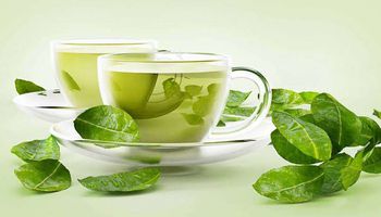 الشاي الأخضر 